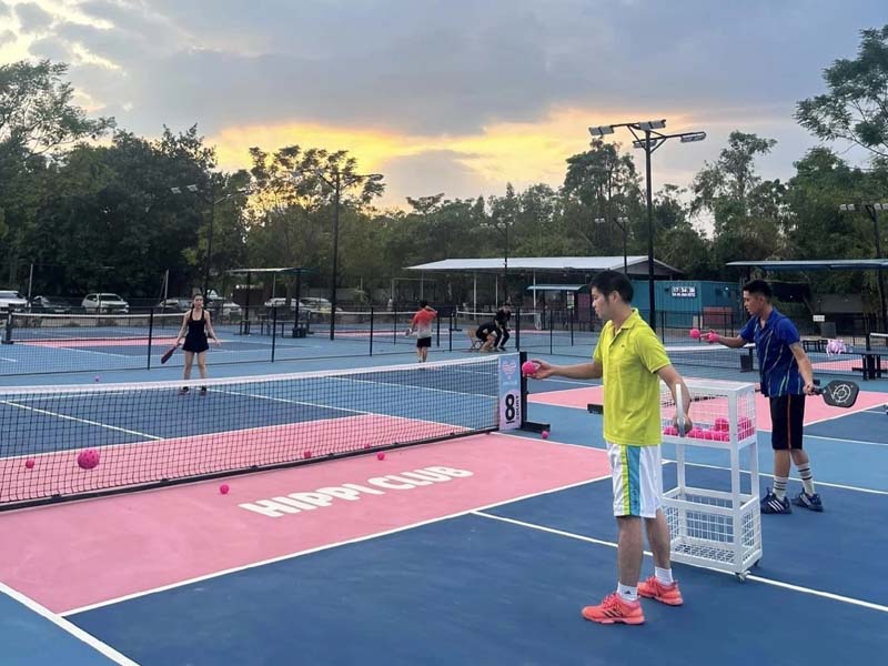 Sân pickleball Hippi hiện đại, chất lượng cao